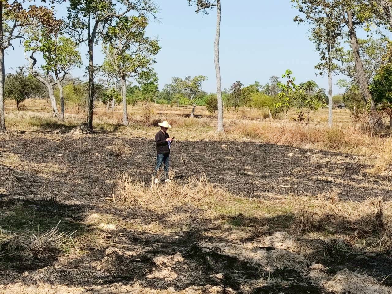 title - วันที่ 15 มกราคม 2569 นายทินกร เพียภูเขียว ปฏิรูปที่ดินจังหวัดอุบลราชธานี มอบหมายให้เจ้าหน้าที่กลุ่มยุทธศาสตร์และการปฏิรูปที่ดิน ลงพื้นที่ตรวจสอบแปลงเกษตรกรรม (นาข้าว) ที่มีการตรวจพบว่ามีการเผา จำนวน 2 จุด 